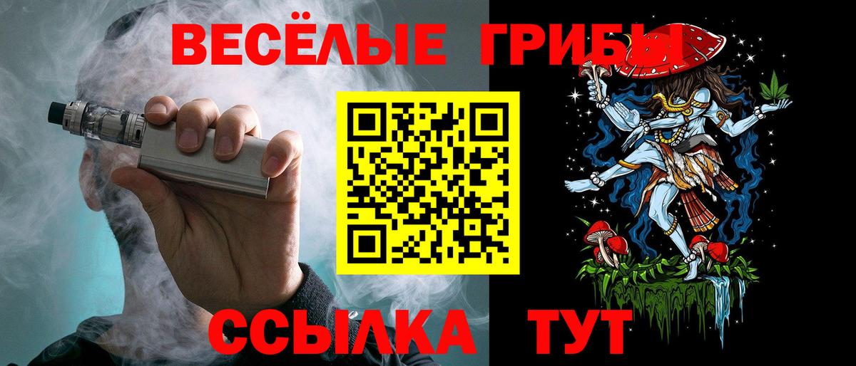 Дюртюли  купить  цена  Псилоцибиновые грибы Cubensis  Вход с VPN  Галлюциногенные грибы мицелий 
